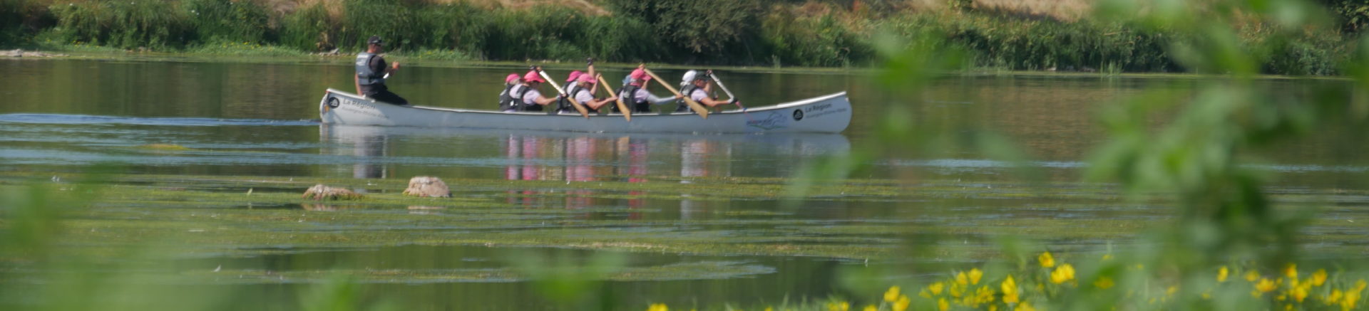 dragon boat raid nature (5)